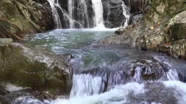 切特科德瀑布生态旅游研究中心 切特科德蓬孔圣 萨拉布里 — 图库视频影像