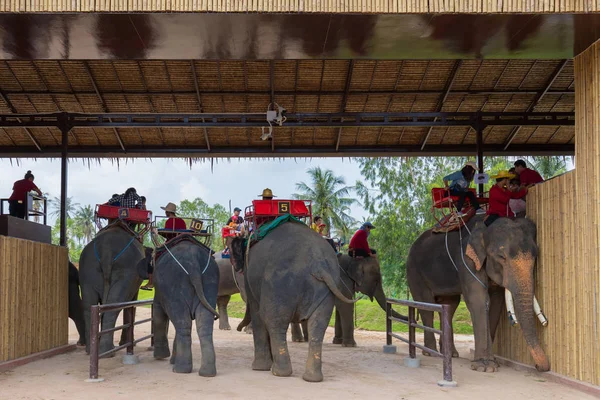 Espectáculo de elefantes y turismo de recogida para viajar en Suanthai pattaya — Foto de Stock