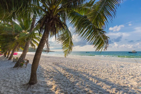 Καρύδες φοίνικες ενάντια στο γαλάζιο του ουρανού και όμορφη παραλία σε samet — Φωτογραφία Αρχείου