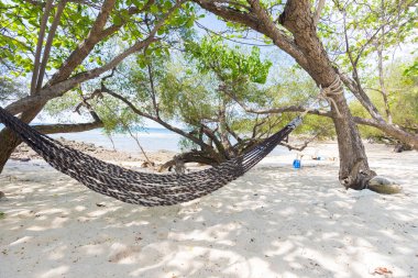 Tayland 'daki Samet Adası' nda bir salıncak..