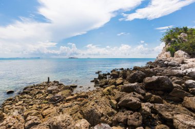 Manzara görünümlü yaz arkaplanı.