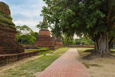 Ayutthaya tarihi parkı eski şehrin kalıntılarını kaplıyor.