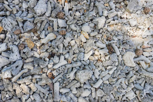 Piedras marinas patrón piso textura fondo . — Foto de Stock