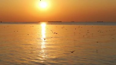 Bang Pu Dinlenme Merkezi 'nde gün batımında martıların manzara manzarası körfez kıyısında bir tatil köyüdür.