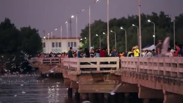 Samut Prakan Thailand December 2019 Traveler Sightseeing Seagulls Flying Bangpu — Stock Video