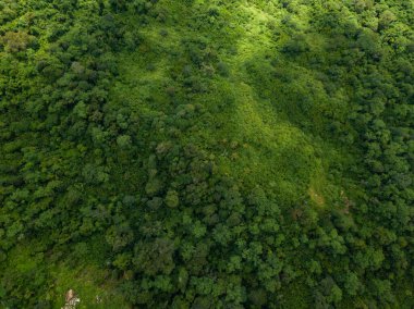 Tayland 'daki manzara. Phu Thap Boek Phetchabun Eyaleti Tayland 'daki dağların üzerinden uçan insansız hava aracı manzarası.
