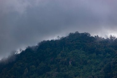 Phu Thap Boek Phetchabun Eyaleti Tayland 'da manzara.