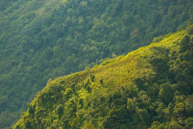 Phu Thap Boek Phetchabun Eyaleti Tayland 'da manzara.