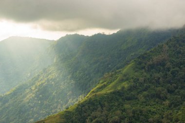 Phu Thap Boek Phetchabun Eyaleti Tayland 'da manzara.