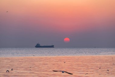 Gün batımında manzara manzarası. Arka planda martılar ve genel kargo gemisi var.