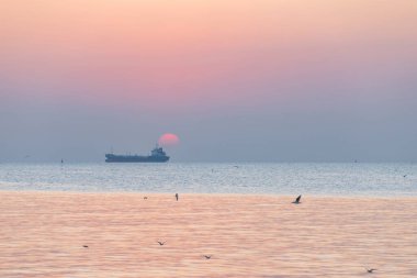 Gün batımında manzara manzarası. Arka planda martılar ve genel kargo gemisi var.
