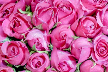 Balkondaki Sandalye ve Masa / Masa Choa Praya Nehri 'ni temsil ediyor..