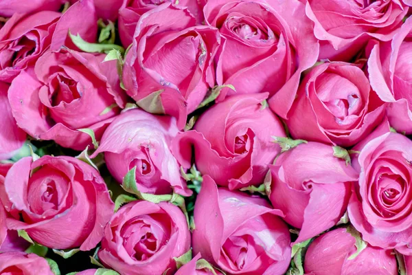 Balkondaki Sandalye ve Masa / Masa Choa Praya Nehri 'ni temsil ediyor..