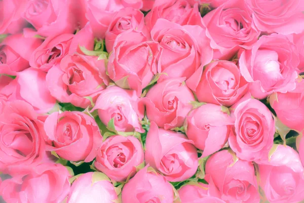 Rózsaszín Rózsa Csokor Háttér Gyönyörű Virágmintás Valentin Koncepció Jogdíjmentes Stock Fotók