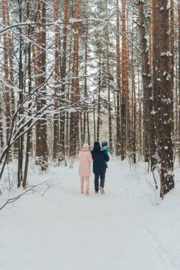 Bir çocuk ile aile yürüyüş. Aile doğada kış aylarında yürür. Doğada kış aile yürüyüş. Kar bir çok.