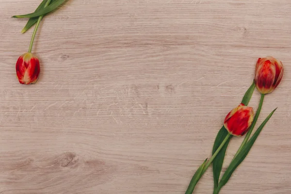 Red tulips on wooden background. Tulips for women. Place for inscription. Stock Image