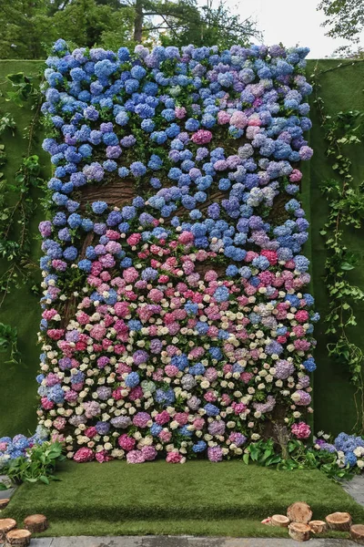 Flowered wedding wall. Decor with color hydrangea and roses. Wedding wall for ceremony and photo.