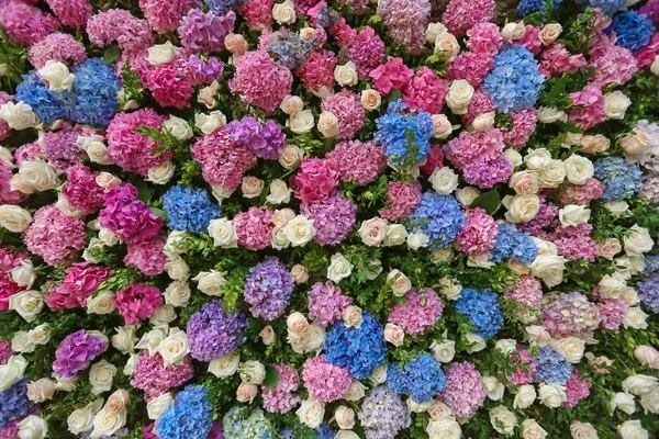 Flowered wedding wall. Decor with color hydrangea and roses. Wedding wall for ceremony and photo.