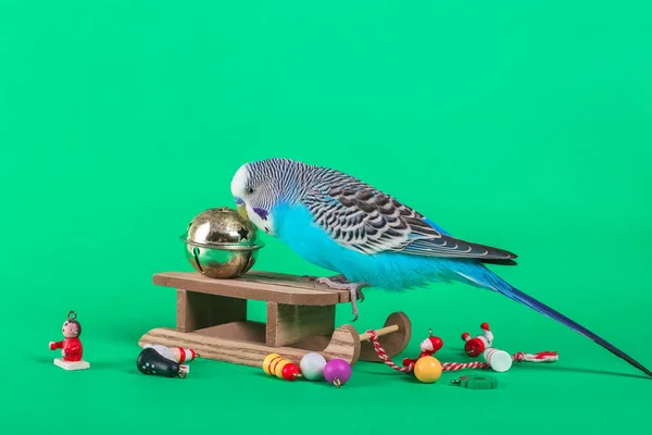 Niebo Niebieskie Faliste Papuga Plastikowe Zabawki Kolor Tła Boże Narodzenie — Zdjęcie stockowe