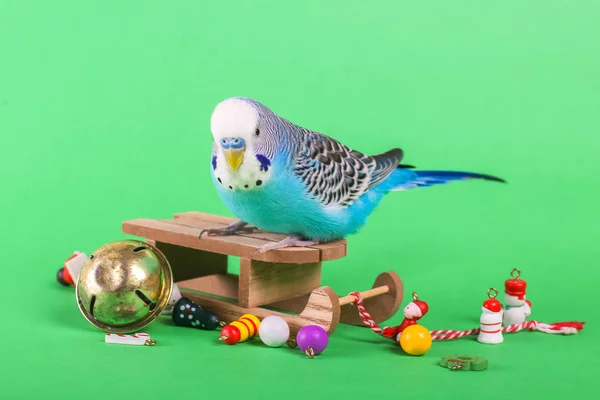 Céu Azul Papagaio Ondulado Com Brinquedo Plástico Fundo Cor Natal — Fotografia de Stock