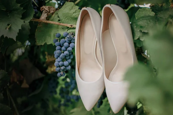 Pair of wedding shoes. White elegant wedding shoes for a bride in a vineyard