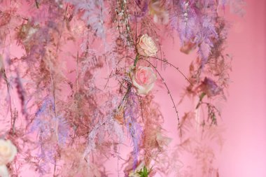 Arka plan dekorasyon pembe gül. Sevgililer günü. 8 Mart 