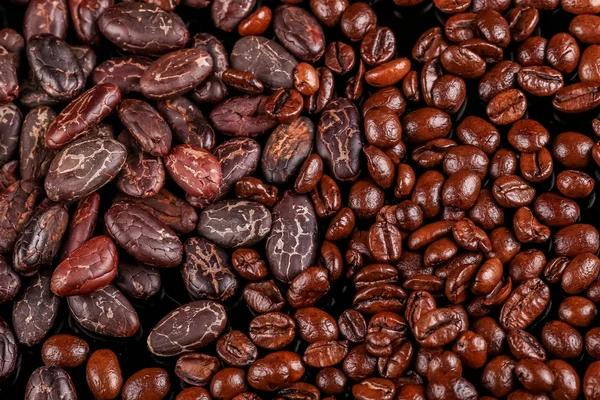 Roasted beans. Cocoa beans and coffee beans isolated on black background.