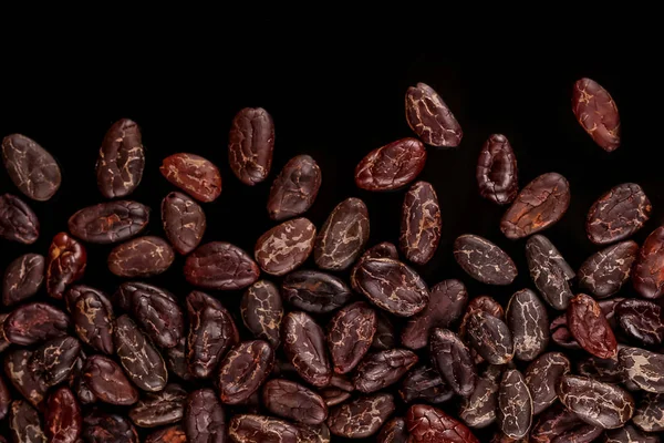 Cocoa beans  isolated on black background. Roasted beans.