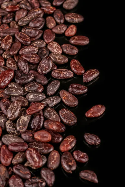 Fagioli Cacao Isolati Sfondo Nero Fagioli Arrosto — Foto Stock