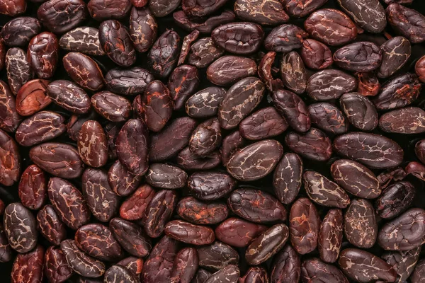 Roasted Beans Cocoa Beans Coffee Beans Isolated Black Background — Stock Photo, Image