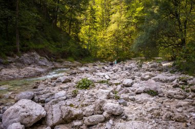 Bir yürüyüşçü yemyeşil bir ormanda kayalık bir nehir yatağında dinlenir. Yürüyüşü sırasında manzaranın tadını çıkarmak ve yolculuğuna devam etmeden önce kendine gelmek için ara veriyor..