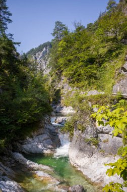 Avusturya 'daki Oetschergraeben boğazı doğanın gücünü gösteriyor. Su kayaları oyar, doğa aşıkları ve doğa aşıkları için manzaralı bir manzara yaratır..