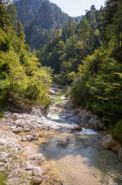 Bakir bir nehir yemyeşil bir ormanın içinden akar. Su kayaların üzerinde çağlayarak küçük akıntılar oluşturur. Sahne huzuru ve doğanın güzelliğini çağrıştırıyor..