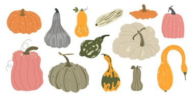 Balkabağı seti. Farklı kabakların ve kabakların sonbahar çizimi. Dekor için mevsimlik balkabağı koleksiyonu, Şükran Günü, çiftlik tasarımı