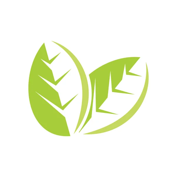 Yaprak Logo Tasarım Vektör Şablonu Izole — Stok Vektör