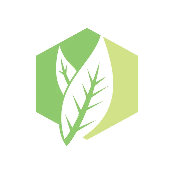 Leaf Logo Design Vector Mall Isolerade — Stock vektor