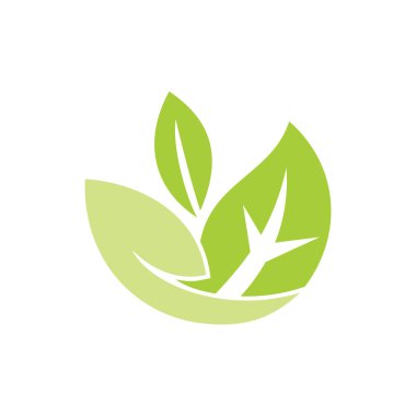 Yaprak Logo tasarım vektör şablonu izole