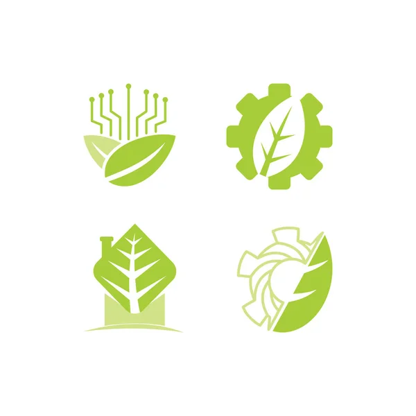 Hoja Logotipo Diseño Vector Plantilla Set — Vector de stock