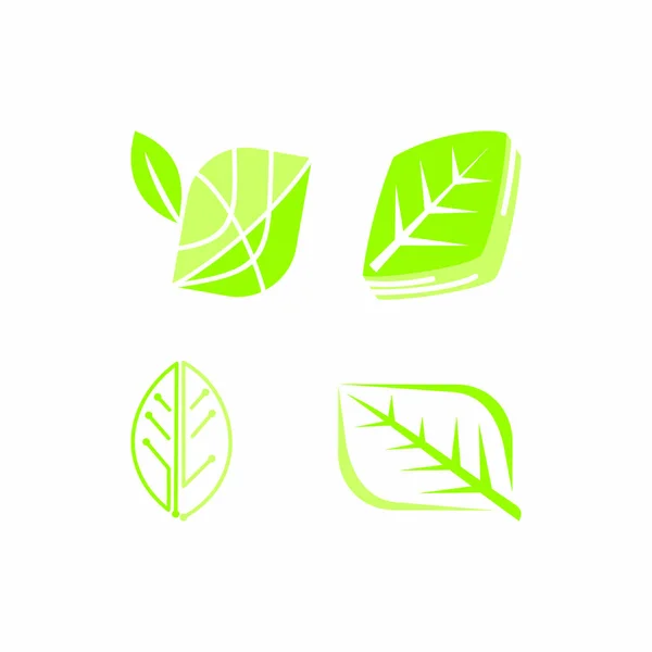 Hoja Logotipo Diseño Vector Plantilla Set — Vector de stock