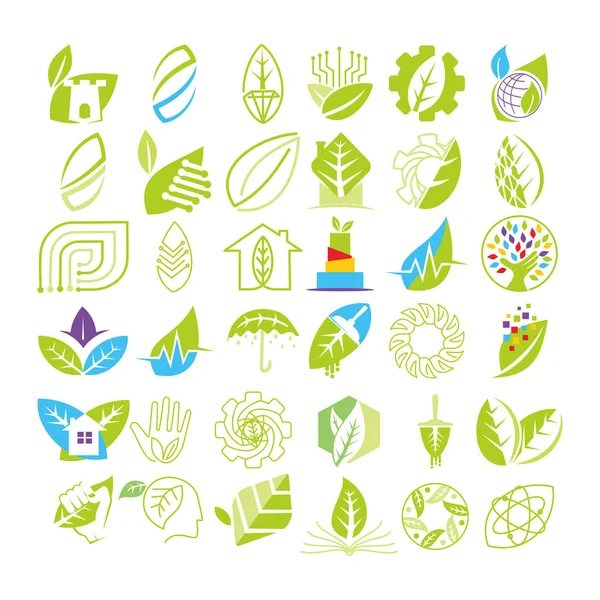 Hoja Logotipo Diseño Vector Plantilla Set — Vector de stock