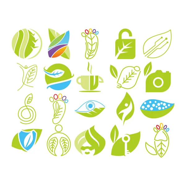 Yaprak Logo tasarım vektör şablon koymak