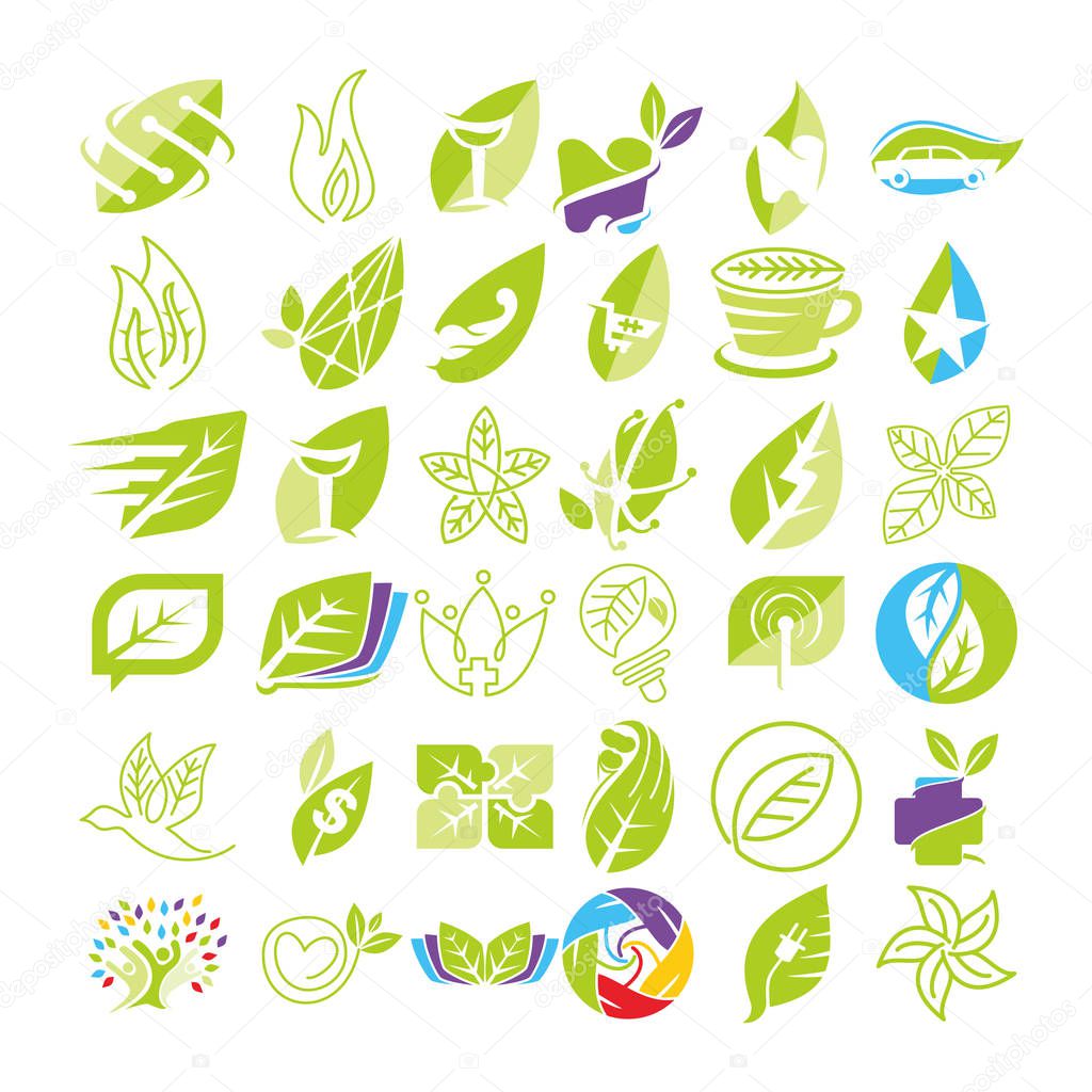 Leaf Logo Design Vector Template Set