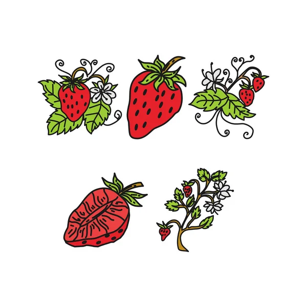 Plantilla de diseño de fruta de fresa Vector — Archivo Imágenes Vectoriales