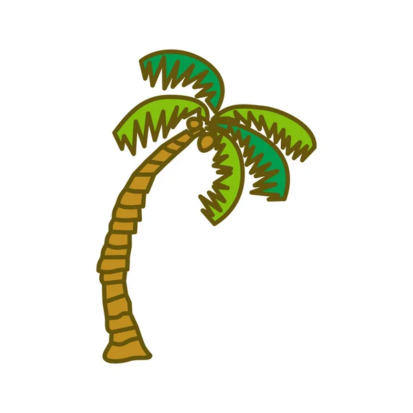 Coconut árvore design ilustração modelo vetor — Vetor de Stock