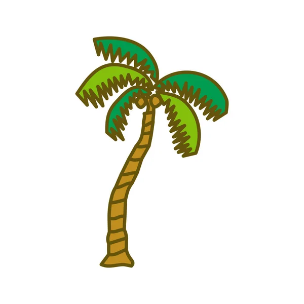 Coconut Tree Design Illustration Template Vector — Stock Vector