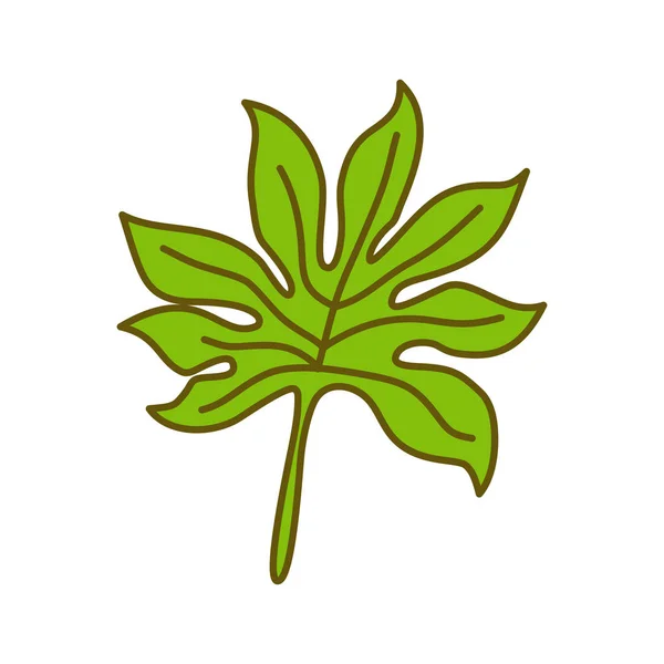 Leaf Tropical Design Illustration Template Vector — Stock Vector