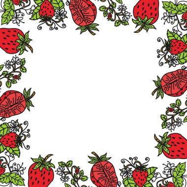 Çilek Meyve Çerçeve Boş Şablon Vektör