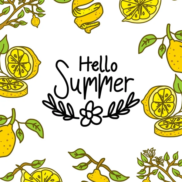 Summer Frame Texto Modelo Vector fundo — Vetor de Stock