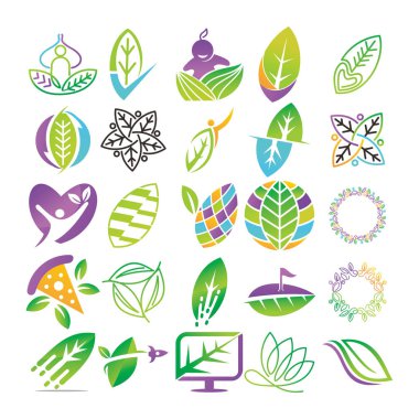 Yaprak Logo tasarım vektör şablon koymak