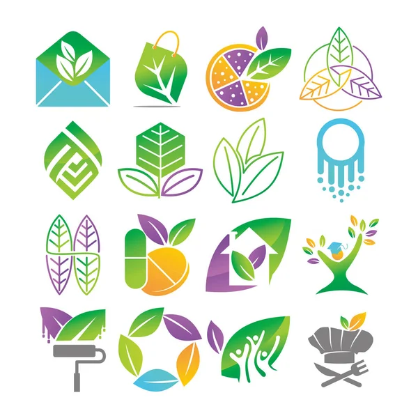 Hoja Logotipo Diseño Vector Plantilla Set — Vector de stock